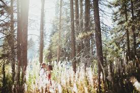 Romantic Forest Wedding Ceremony